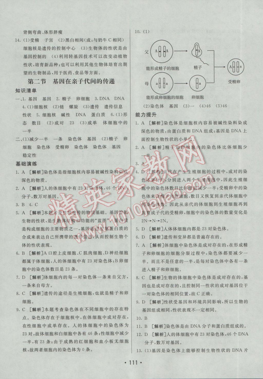 2017年同行學(xué)案學(xué)練測八年級(jí)生物下冊人教版 參考答案第7頁