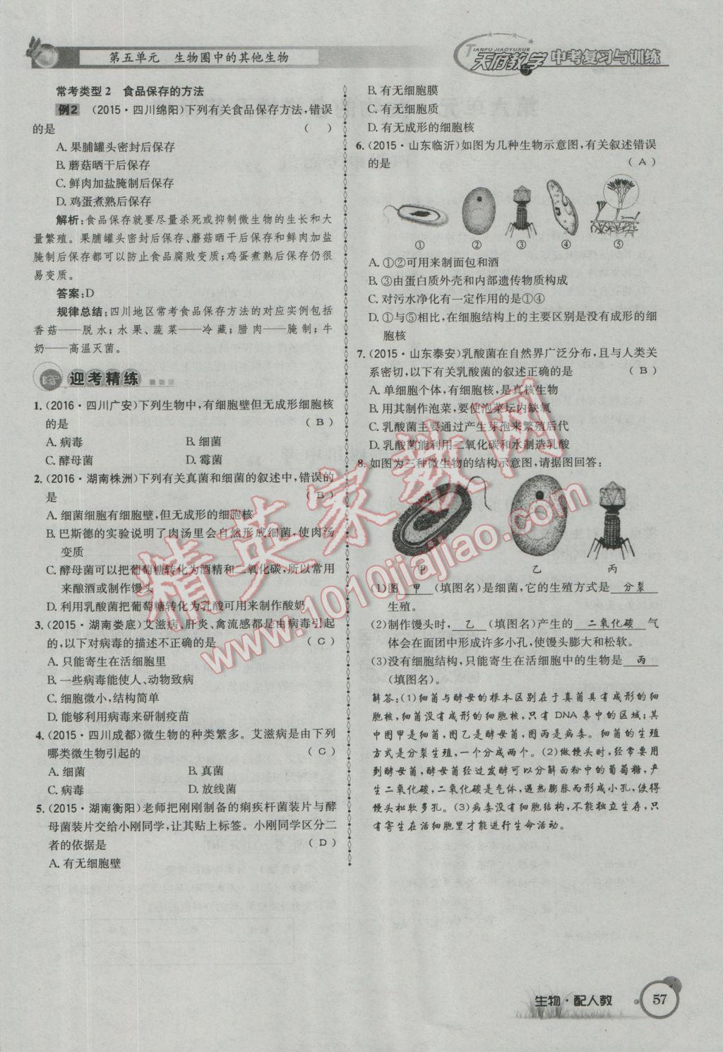 2017年天府教與學(xué)四川中考復(fù)習(xí)與訓(xùn)練生物人教版 第一篇參考答案第60頁