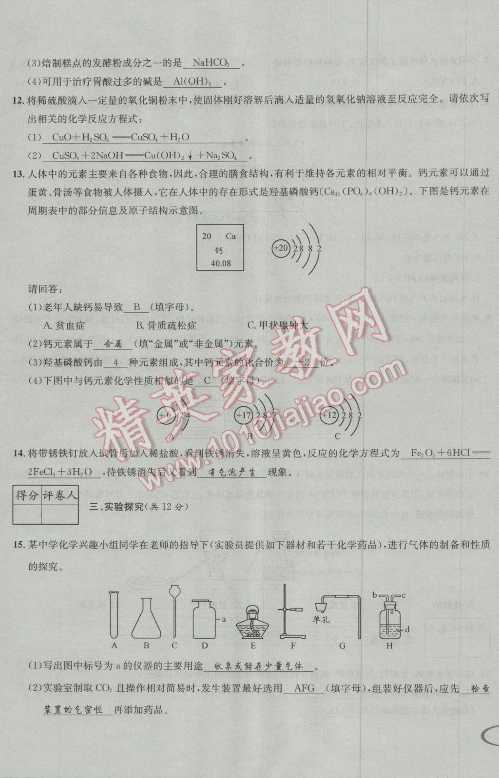 2017年决胜中考化学南充专版 活页测试卷参考答案第19页