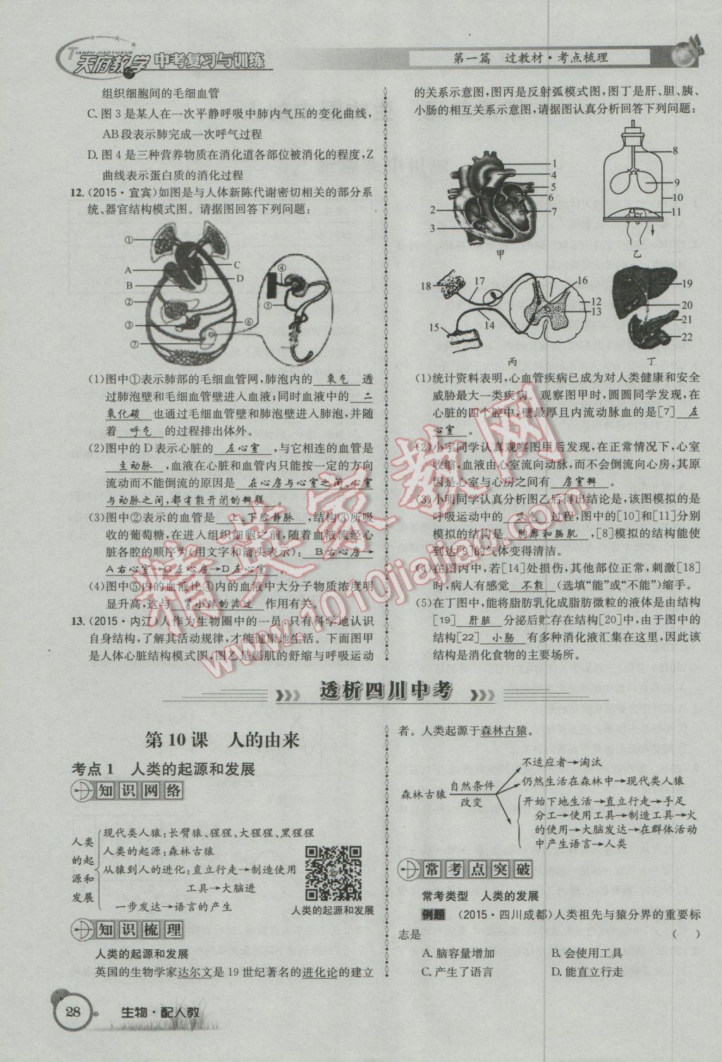 2017年天府教与学四川中考复习与训练生物人教版 第一篇参考答案第31页