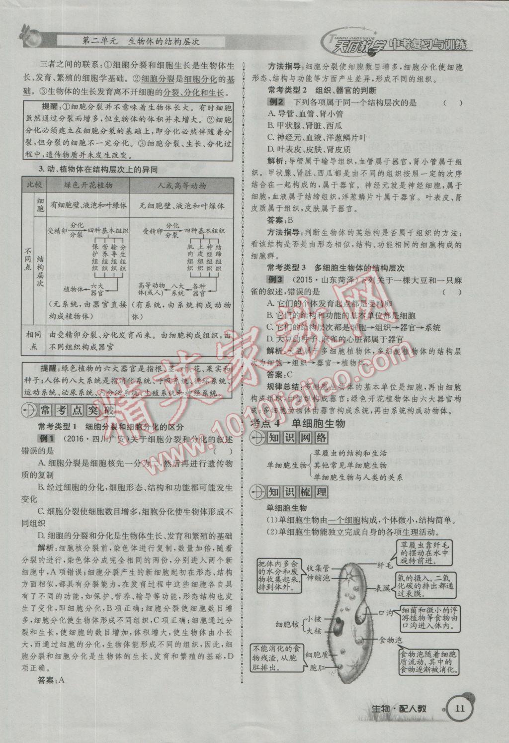 2017年天府教与学四川中考复习与训练生物人教版 第一篇参考答案第14页