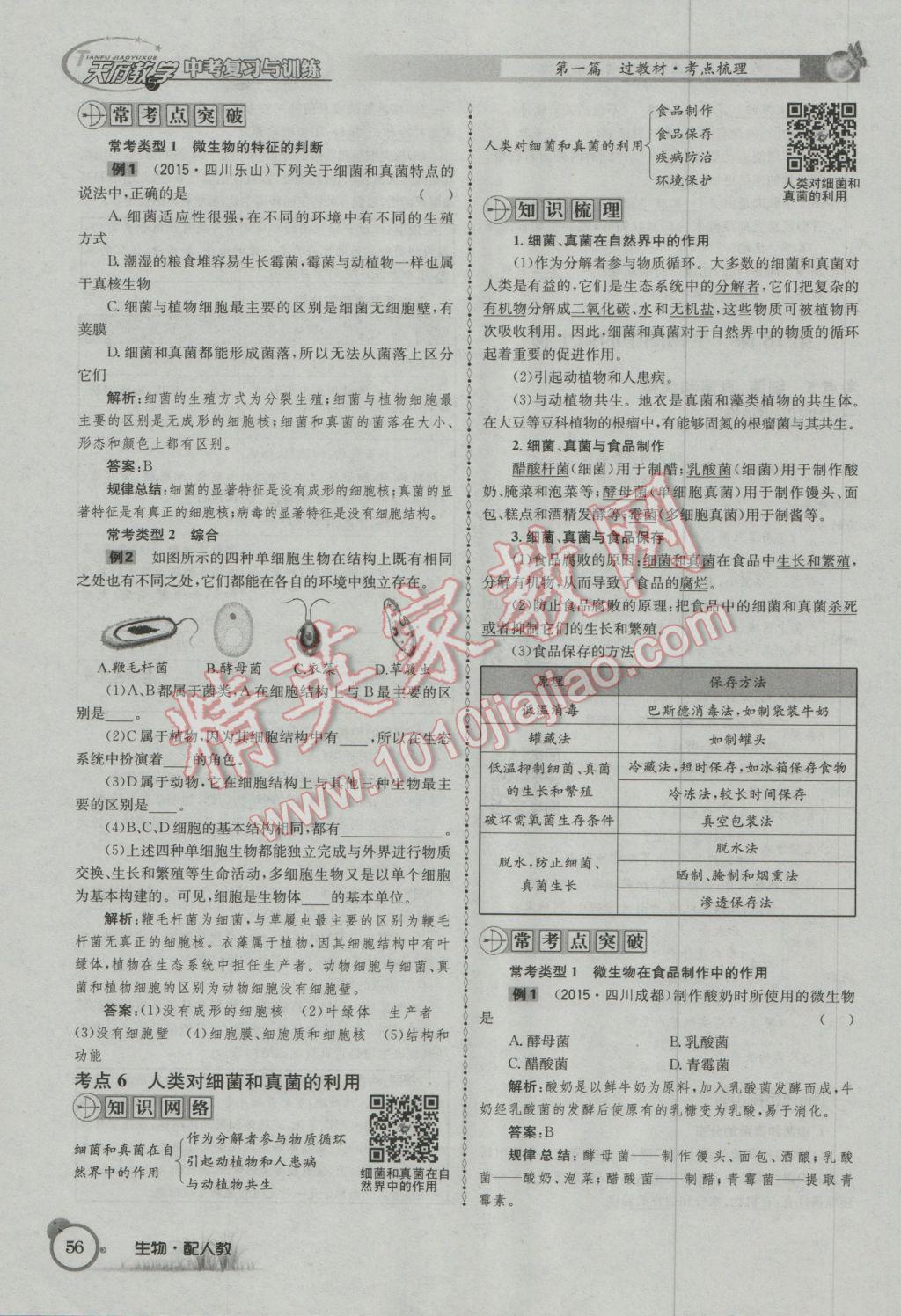 2017年天府教与学四川中考复习与训练生物人教版 第一篇参考答案第59页