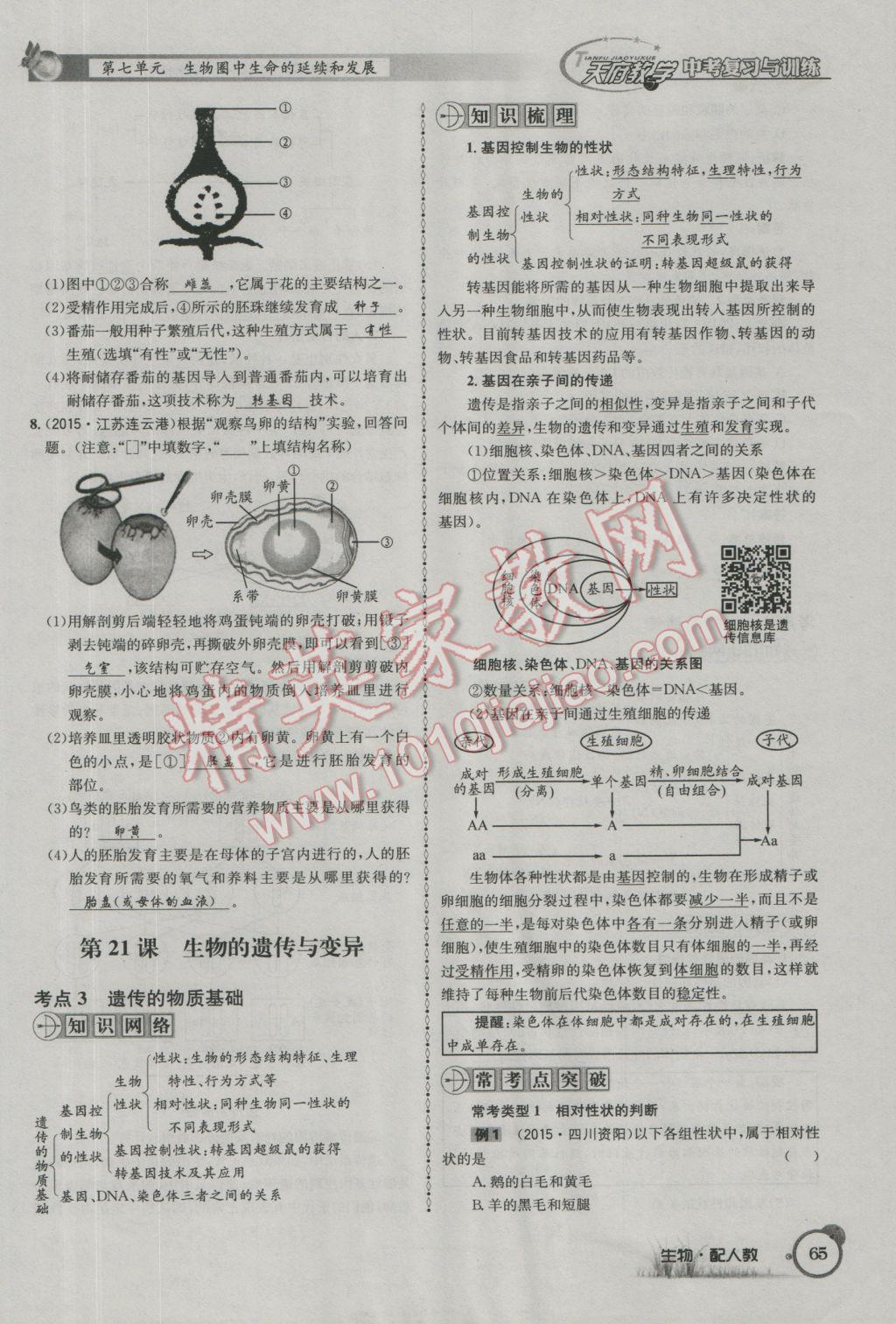 2017年天府教与学四川中考复习与训练生物人教版 第一篇参考答案第68页