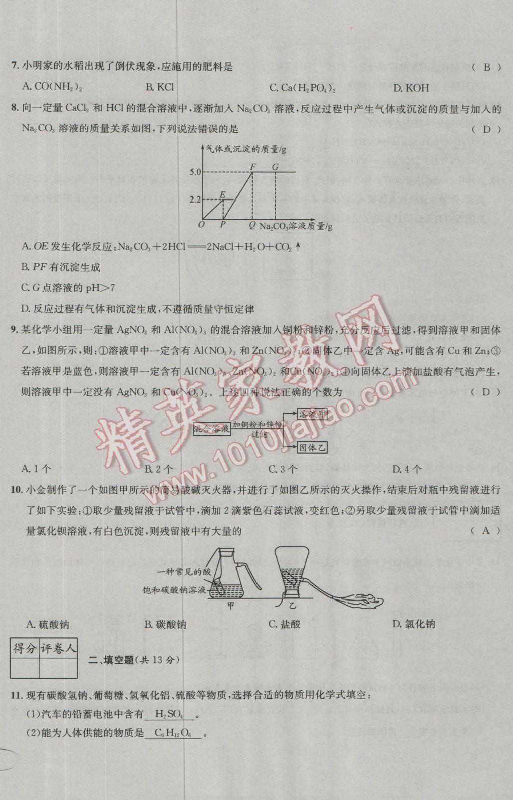 2017年决胜中考化学南充专版 活页测试卷参考答案第18页