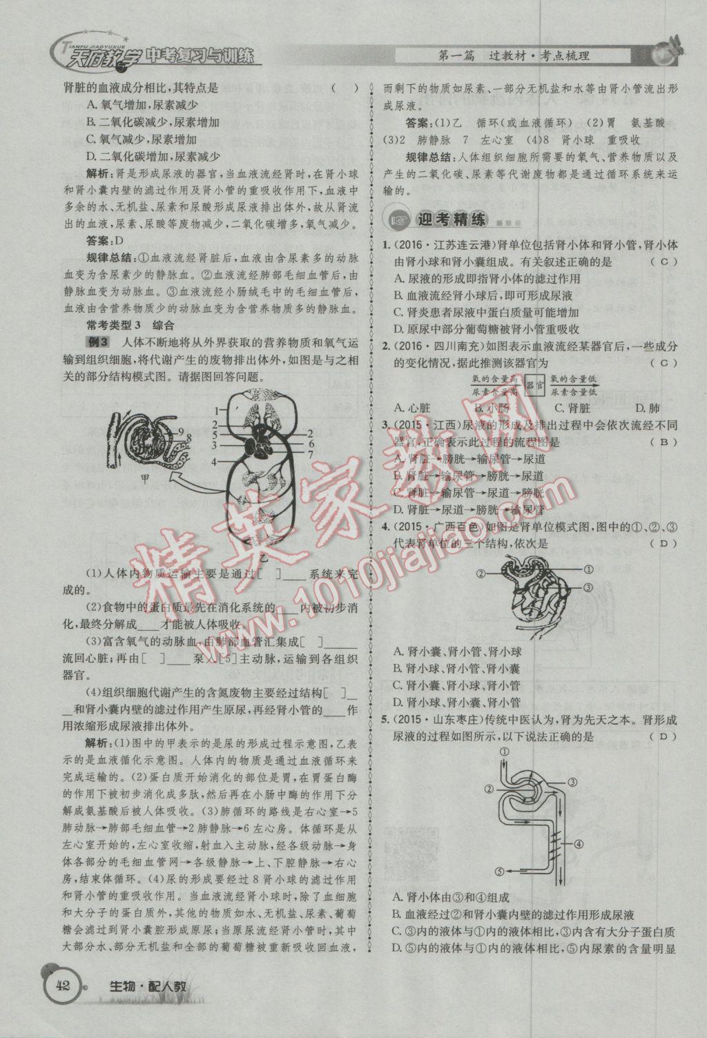 2017年天府教與學四川中考復習與訓練生物人教版 第一篇參考答案第45頁