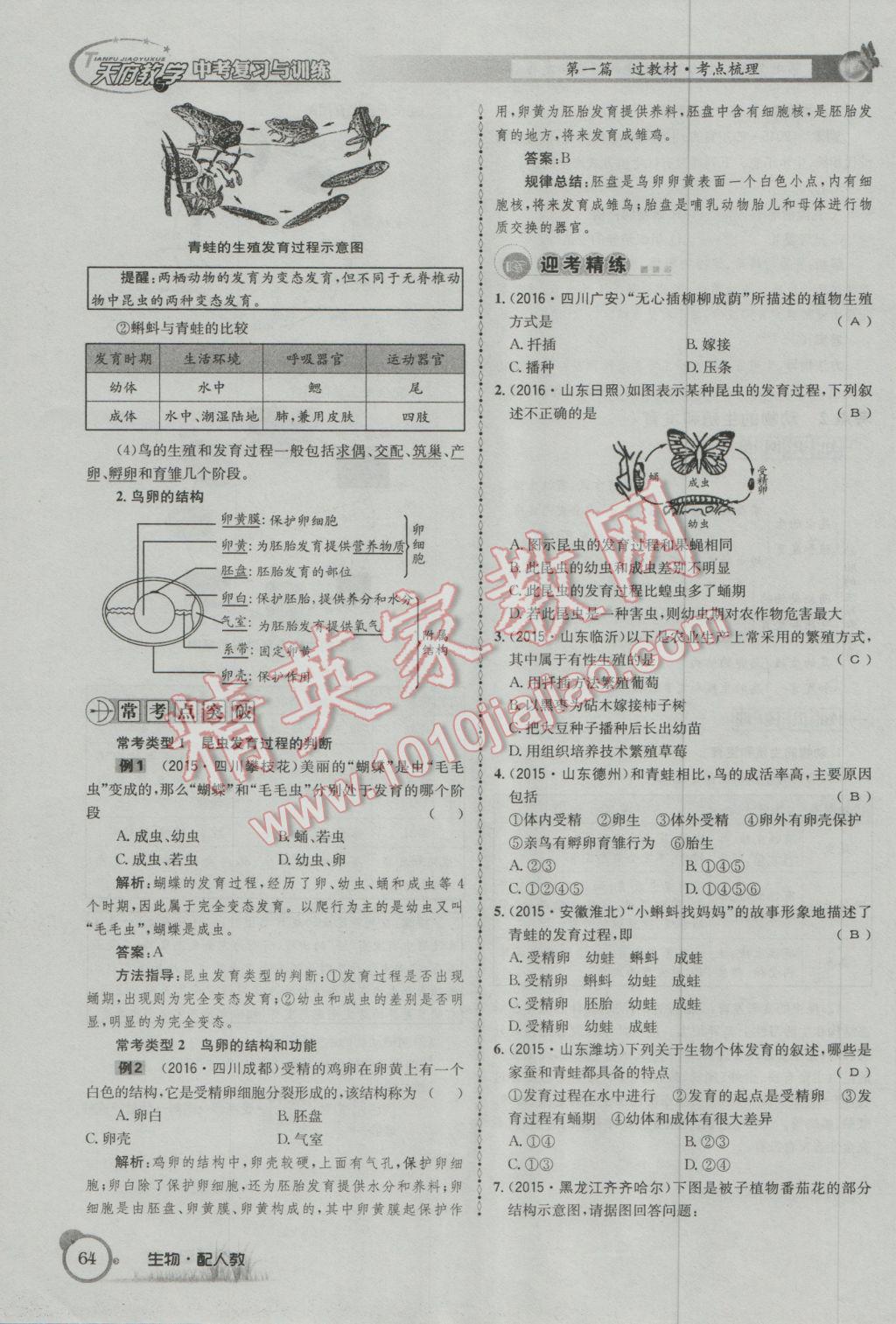 2017年天府教與學四川中考復習與訓練生物人教版 第一篇參考答案第67頁