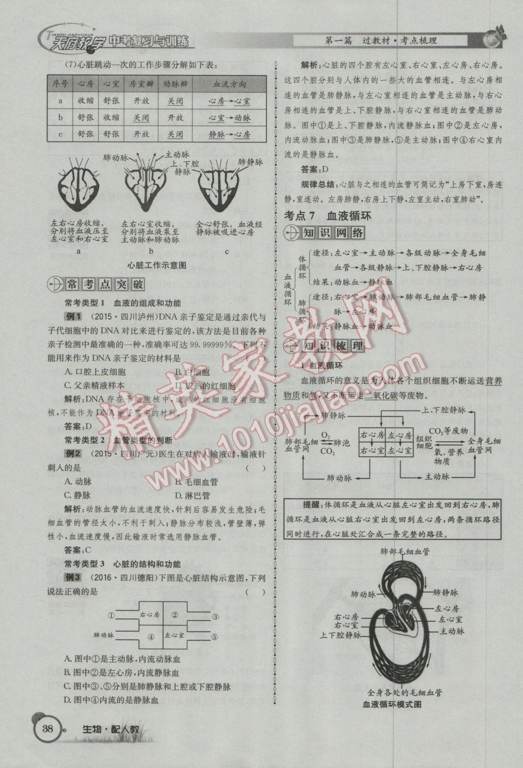 2017年天府教与学四川中考复习与训练生物人教版 第一篇参考答案第41页