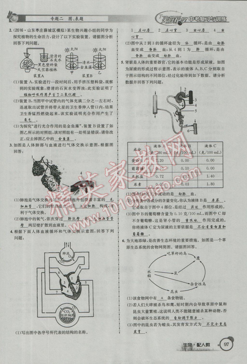 2017年天府教与学四川中考复习与训练生物人教版 第二篇参考答案第100页