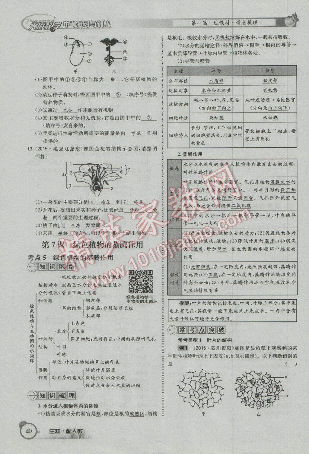 2017年天府教與學四川中考復習與訓練生物人教版 第一篇參考答案第23頁