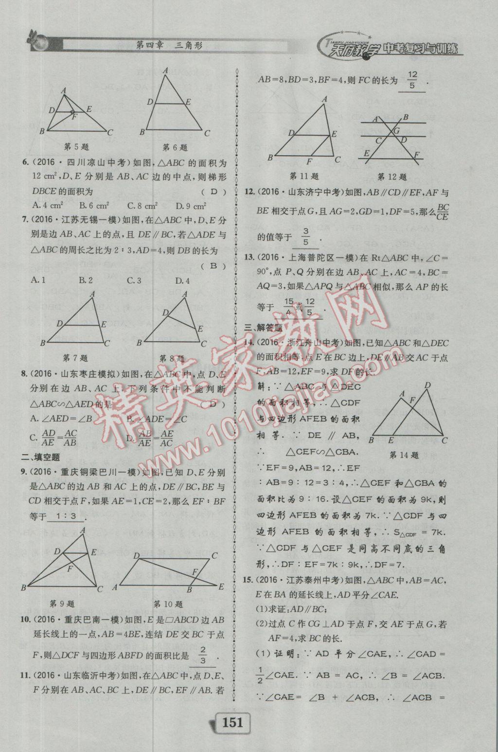 2017年天府教與學(xué)四川中考復(fù)習(xí)與訓(xùn)練數(shù)學(xué)人教版 迎考精練參考答案第199頁