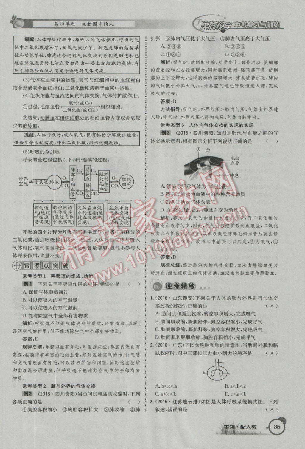 2017年天府教与学四川中考复习与训练生物人教版 第一篇参考答案第38页