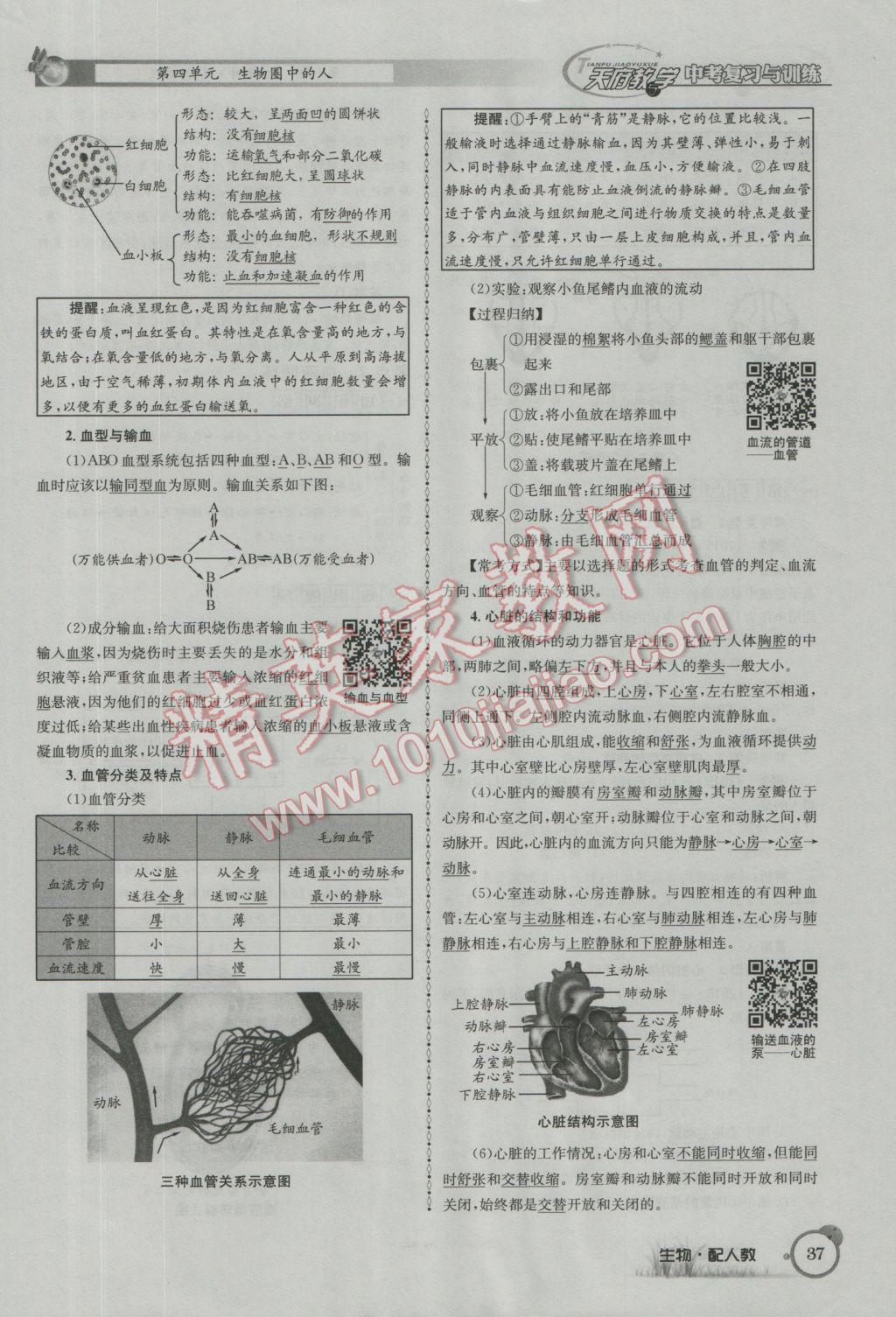 2017年天府教与学四川中考复习与训练生物人教版 第一篇参考答案第40页