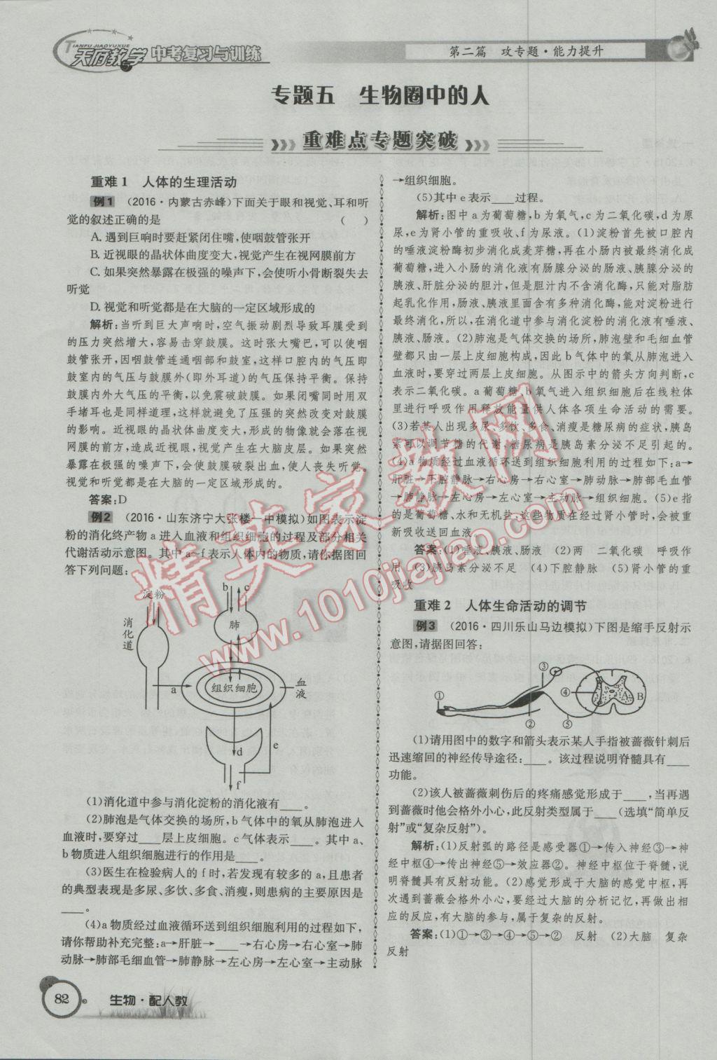 2017年天府教與學(xué)四川中考復(fù)習(xí)與訓(xùn)練生物人教版 第二篇參考答案第85頁