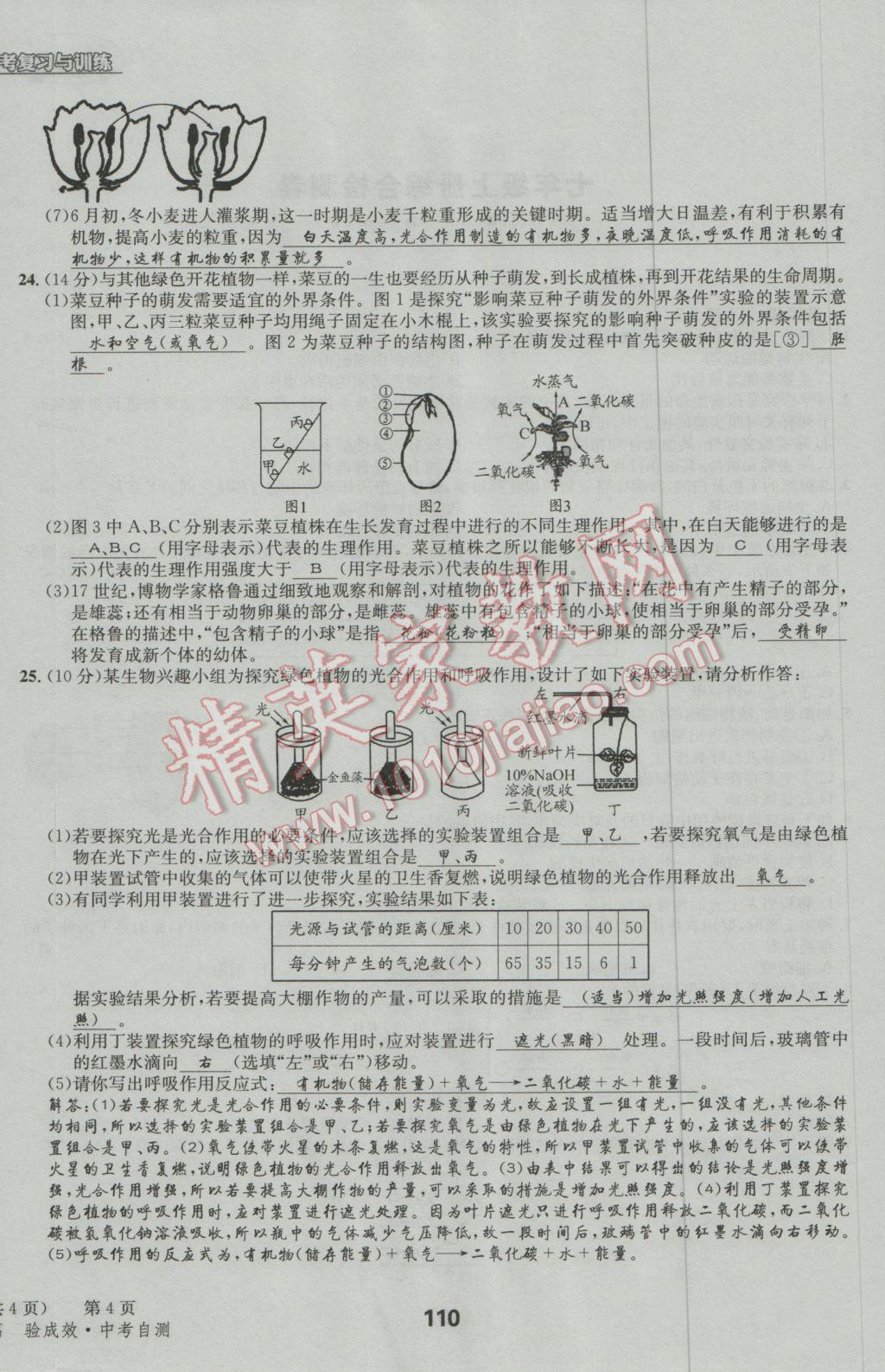 2017年天府教与学四川中考复习与训练生物人教版 试卷参考答案第113页