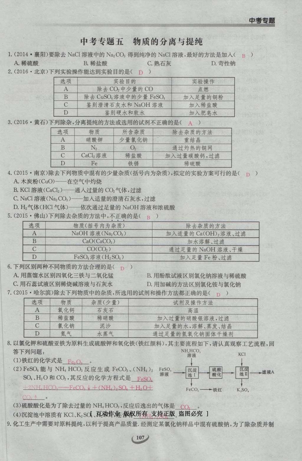 2017年思維新觀察九年級化學(xué)下冊 中考專題第148頁