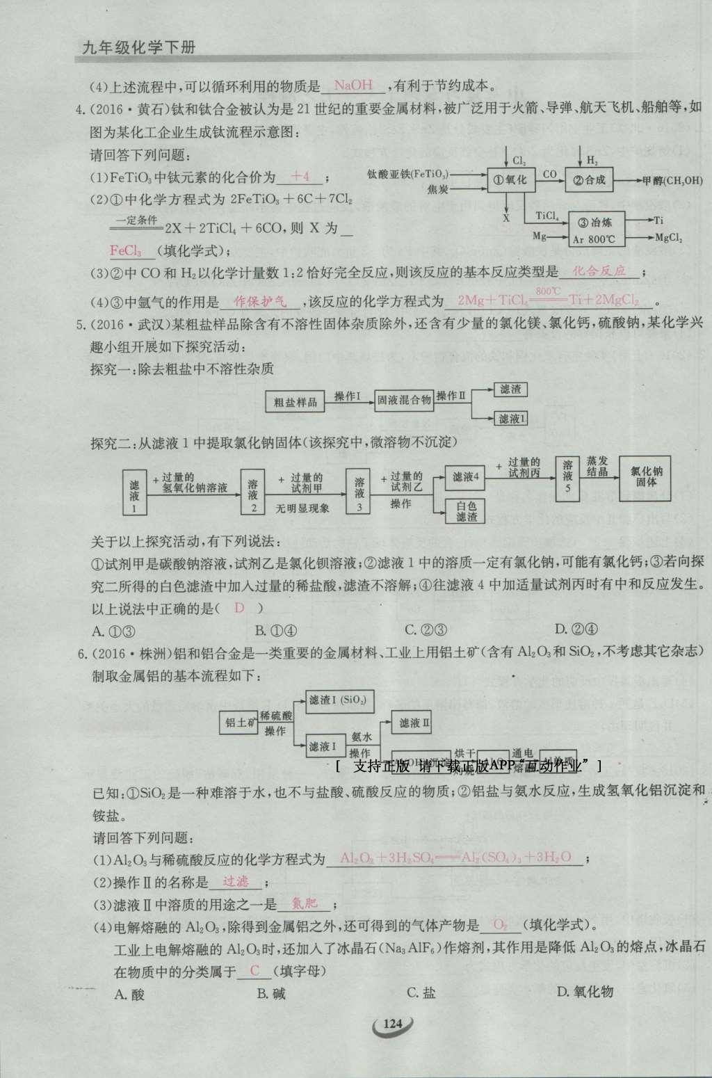 2017年思維新觀察九年級化學(xué)下冊 中考專題第165頁