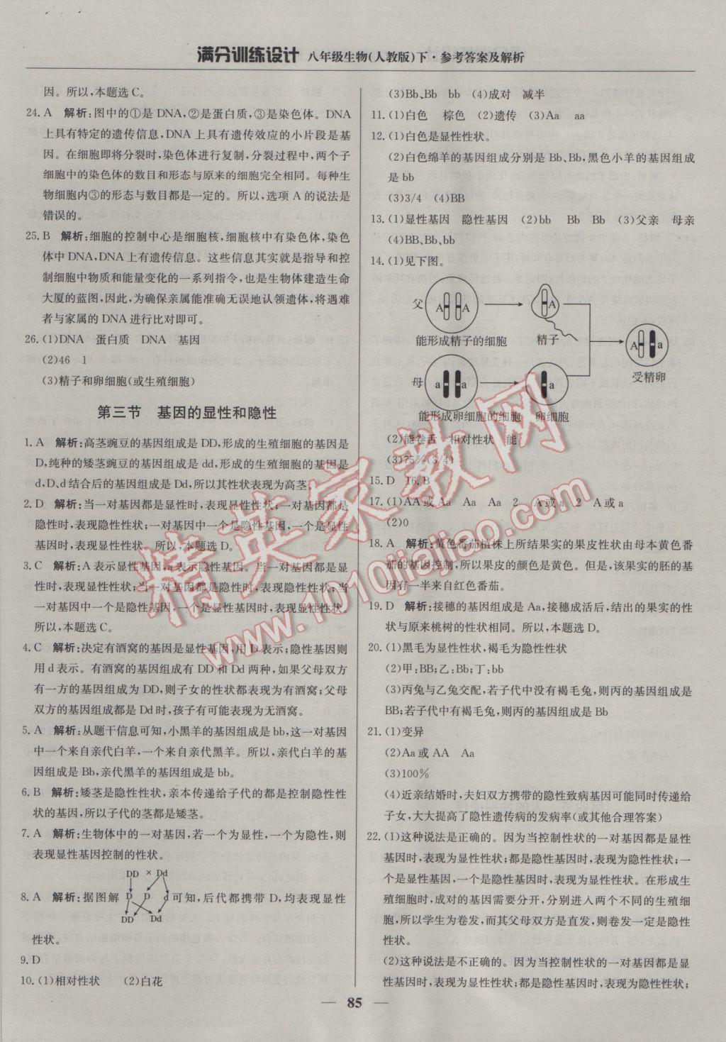 2017年满分训练设计八年级生物下册人教版 参考答案第6页