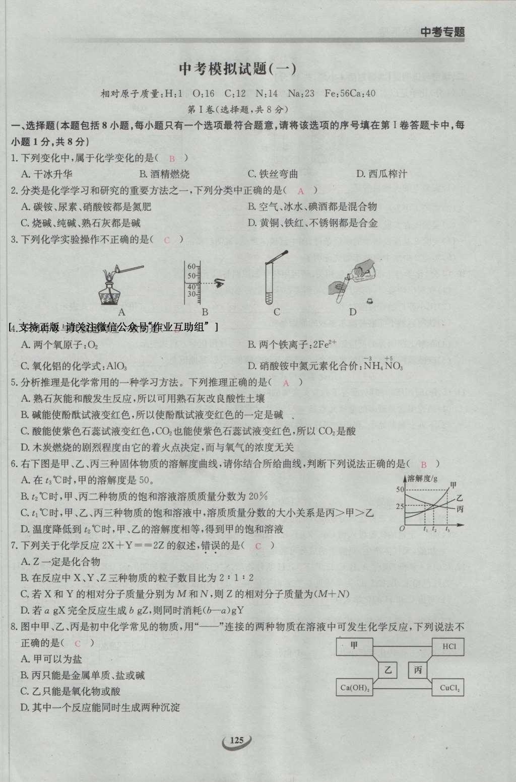 2017年思維新觀察九年級化學下冊 中考專題第166頁