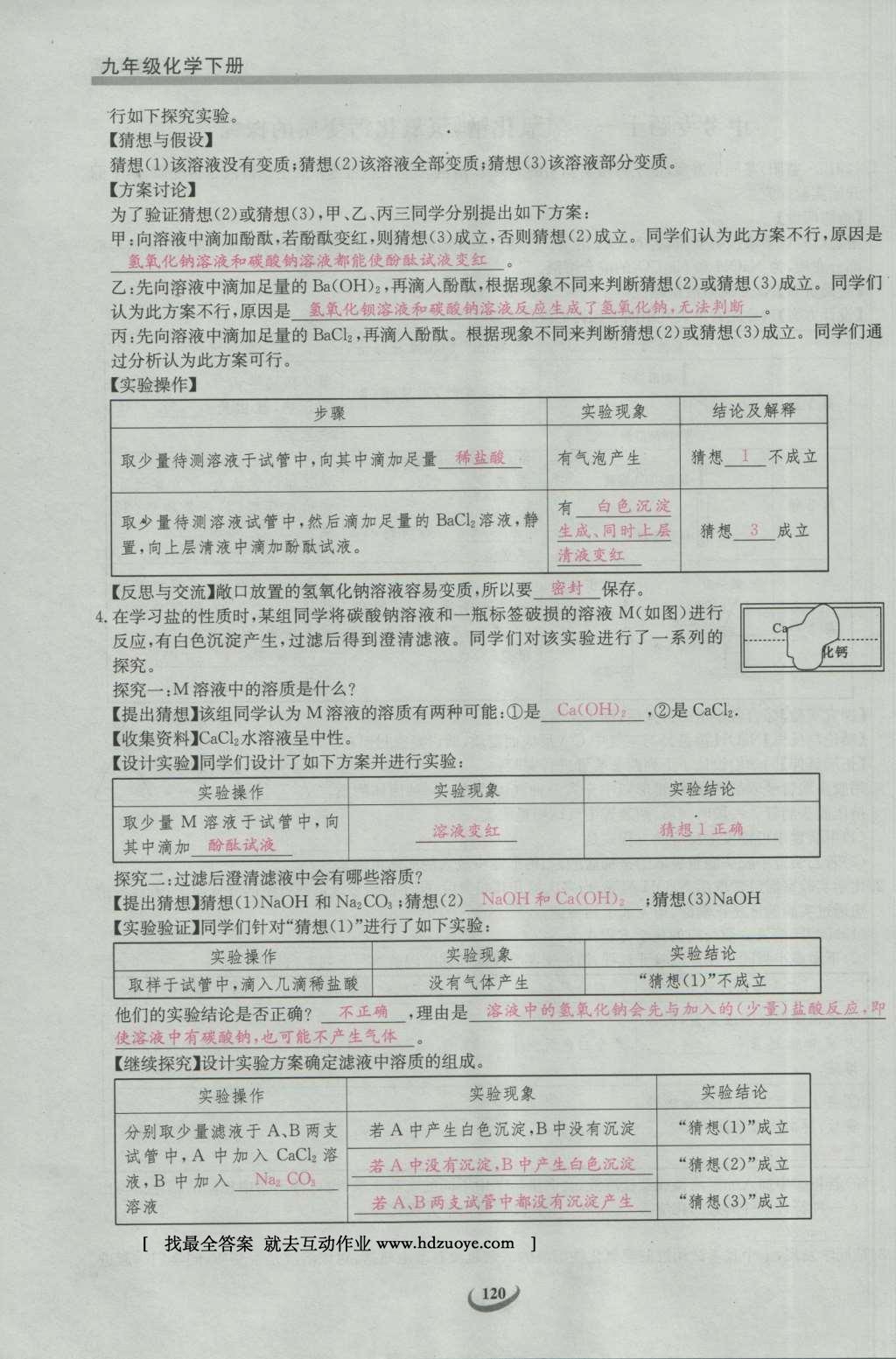 2017年思維新觀察九年級化學(xué)下冊 中考專題第161頁