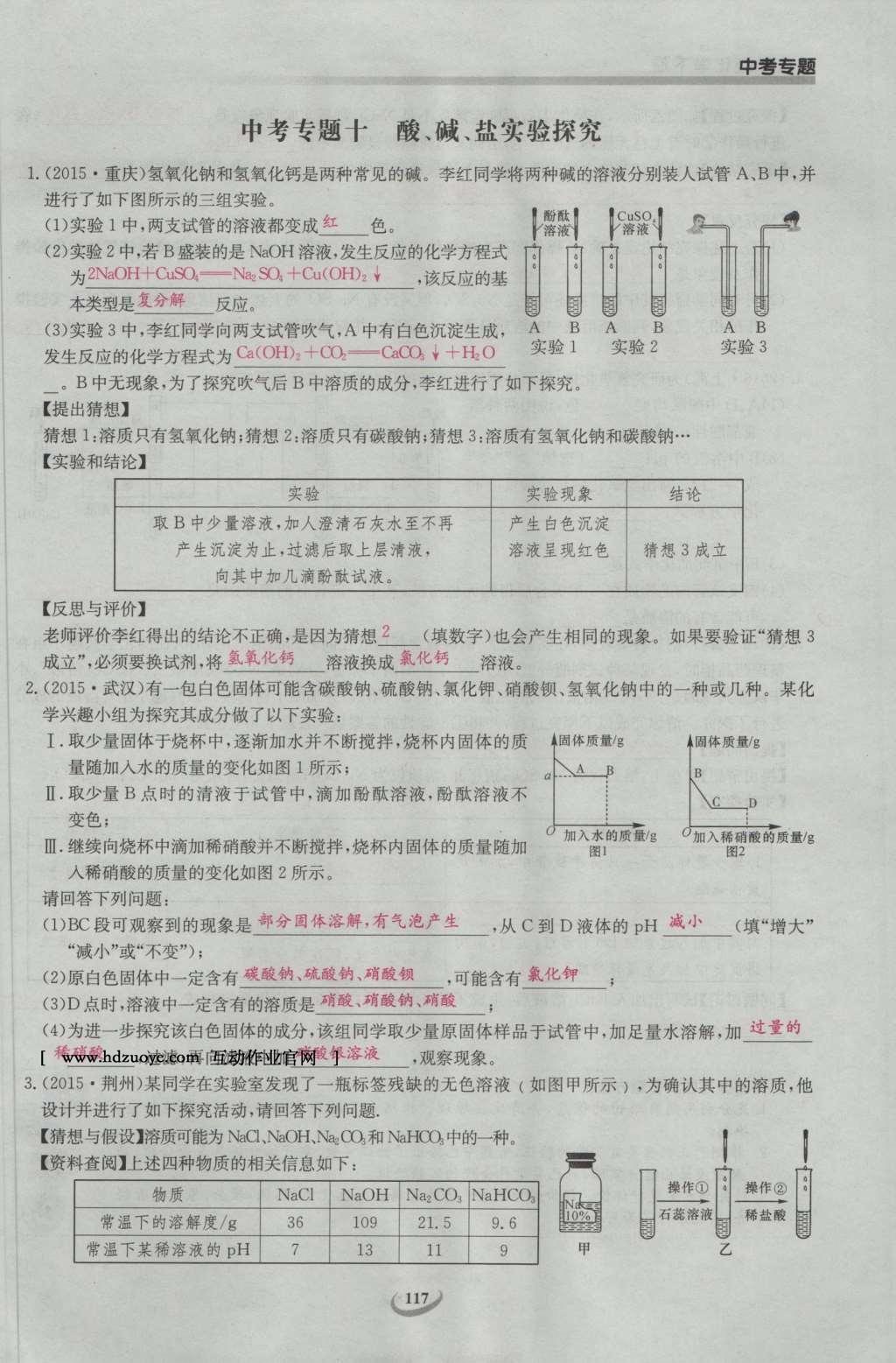 2017年思維新觀察九年級化學下冊 中考專題第158頁