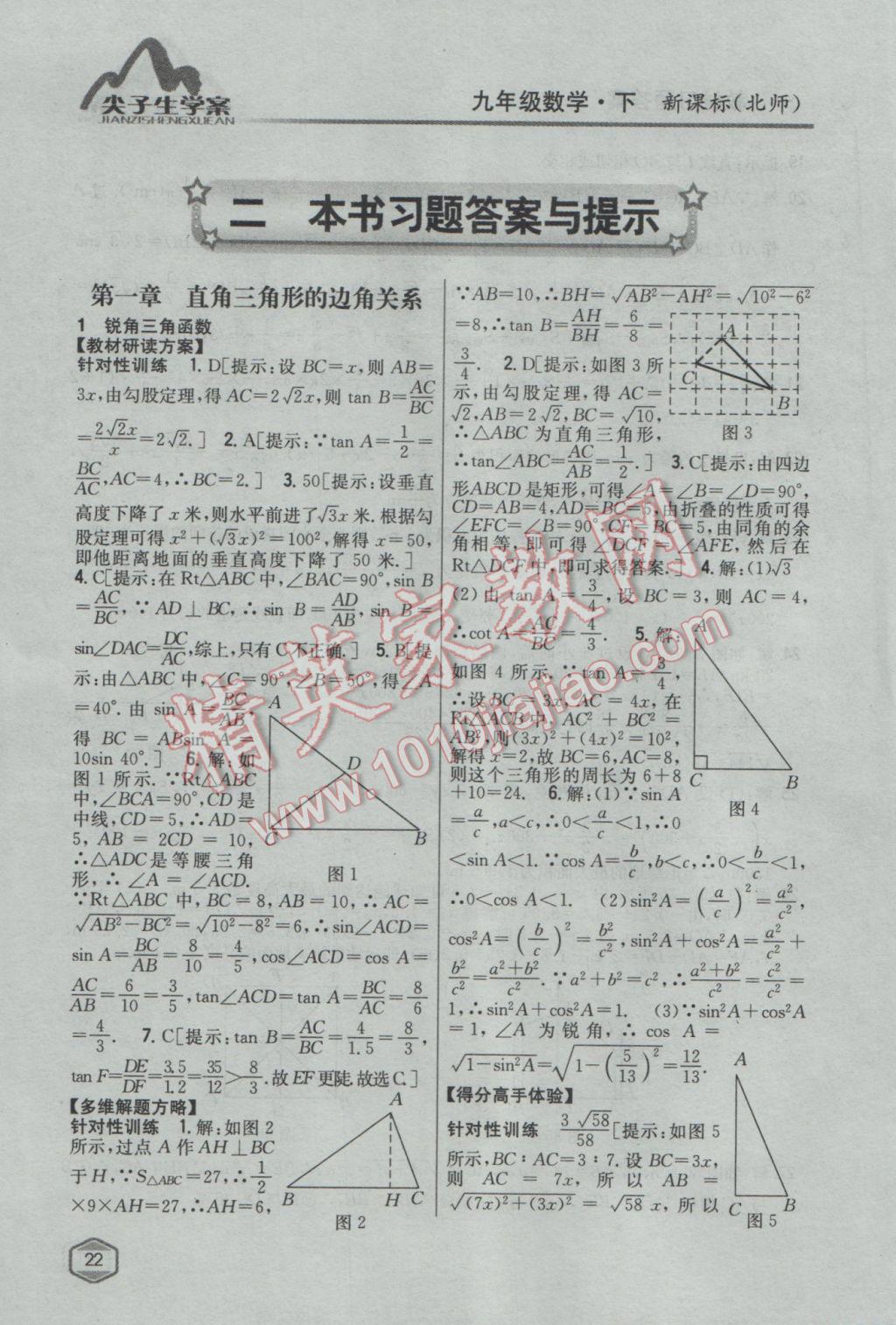 2017年尖子生學(xué)案九年級數(shù)學(xué)下冊北師大版 參考答案第1頁