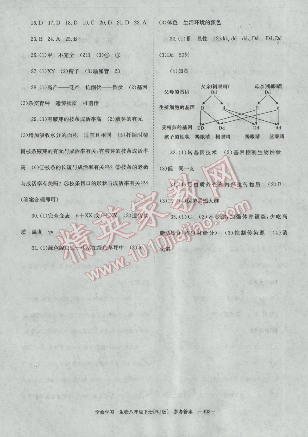 2017年全效學習八年級生物下冊人教版 參考答案第12頁