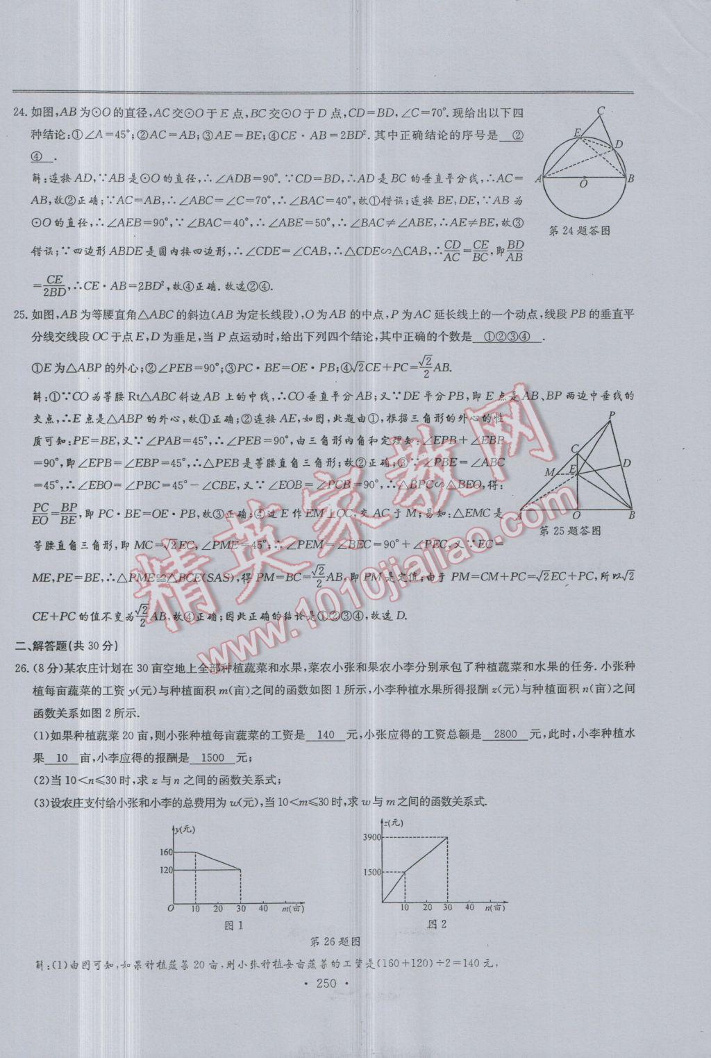 2017年新策略中考复习最佳方案同步训练数学 试题参考答案第252页