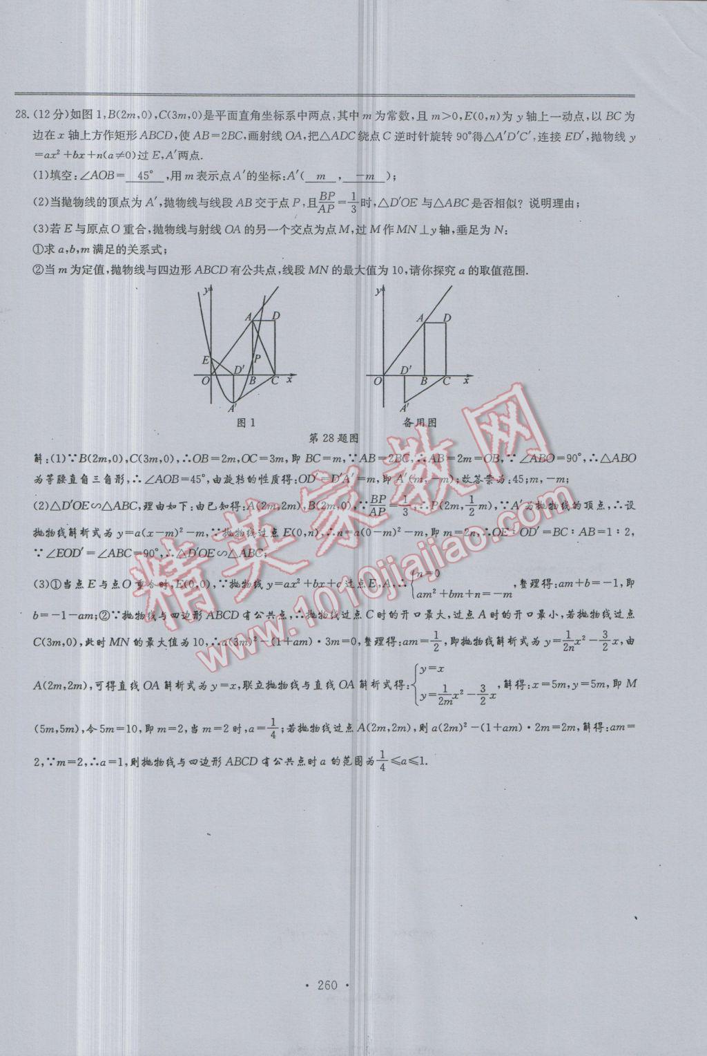 2017年新策略中考复习最佳方案同步训练数学 试题参考答案第262页