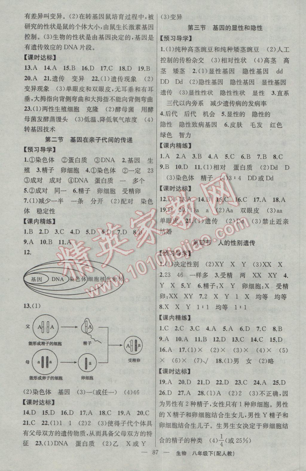 2017年黄冈金牌之路练闯考八年级生物下册人教版 参考答案第3页