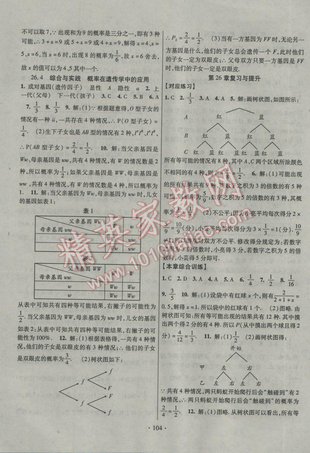 2017年暢優(yōu)新課堂九年級(jí)數(shù)學(xué)下冊滬科版 參考答案第11頁