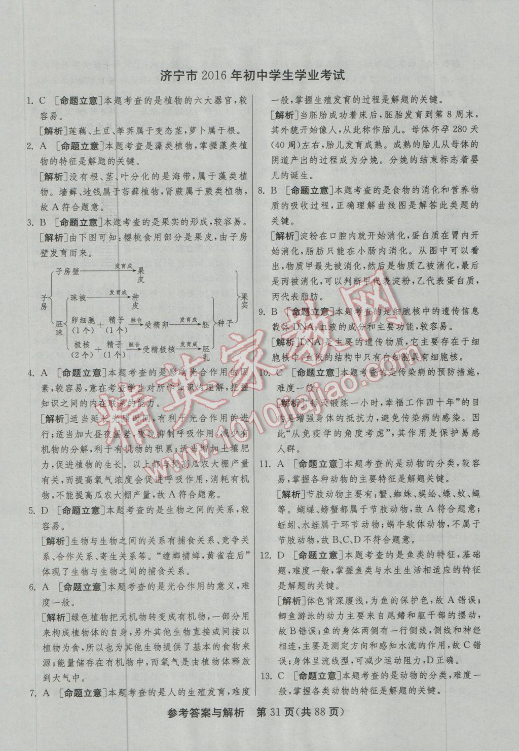 2017年春雨教育考必勝山東省中考試卷精選生物 參考答案第31頁