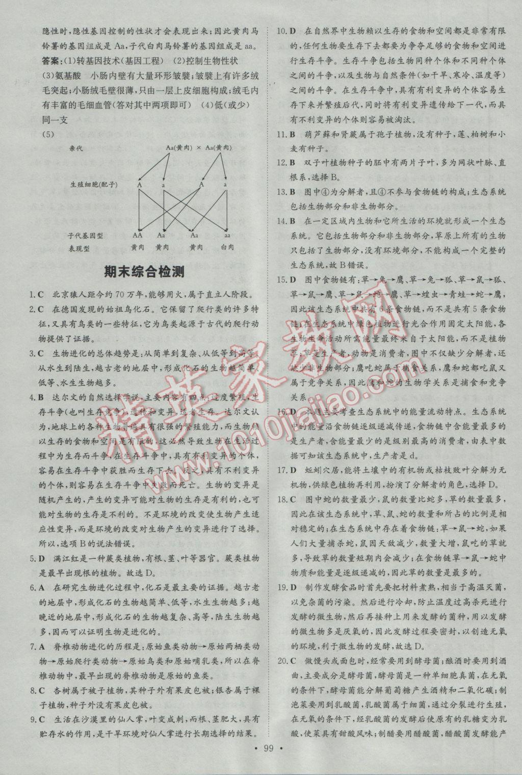 2017年練案課時作業(yè)本八年級生物下冊北師大版 參考答案第23頁