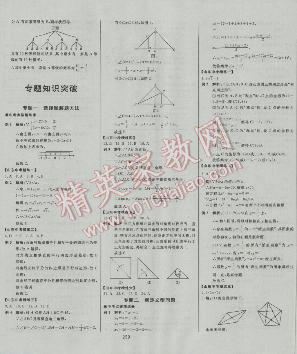 2017年學(xué)業(yè)總復(fù)習(xí)全程精練數(shù)學(xué) 參考答案第43頁(yè)