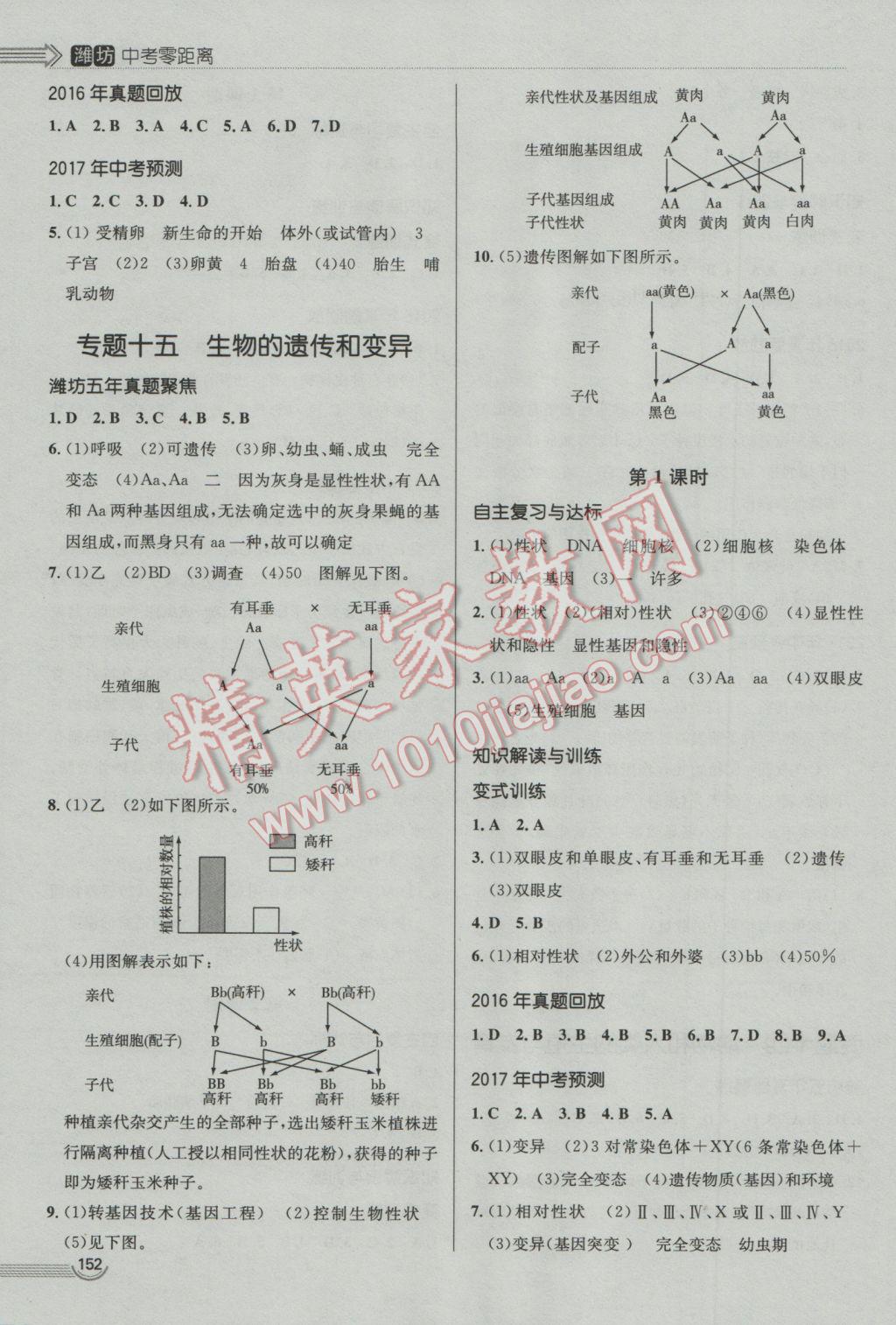 2017年中考零距離生物濰坊中考專用 參考答案第12頁