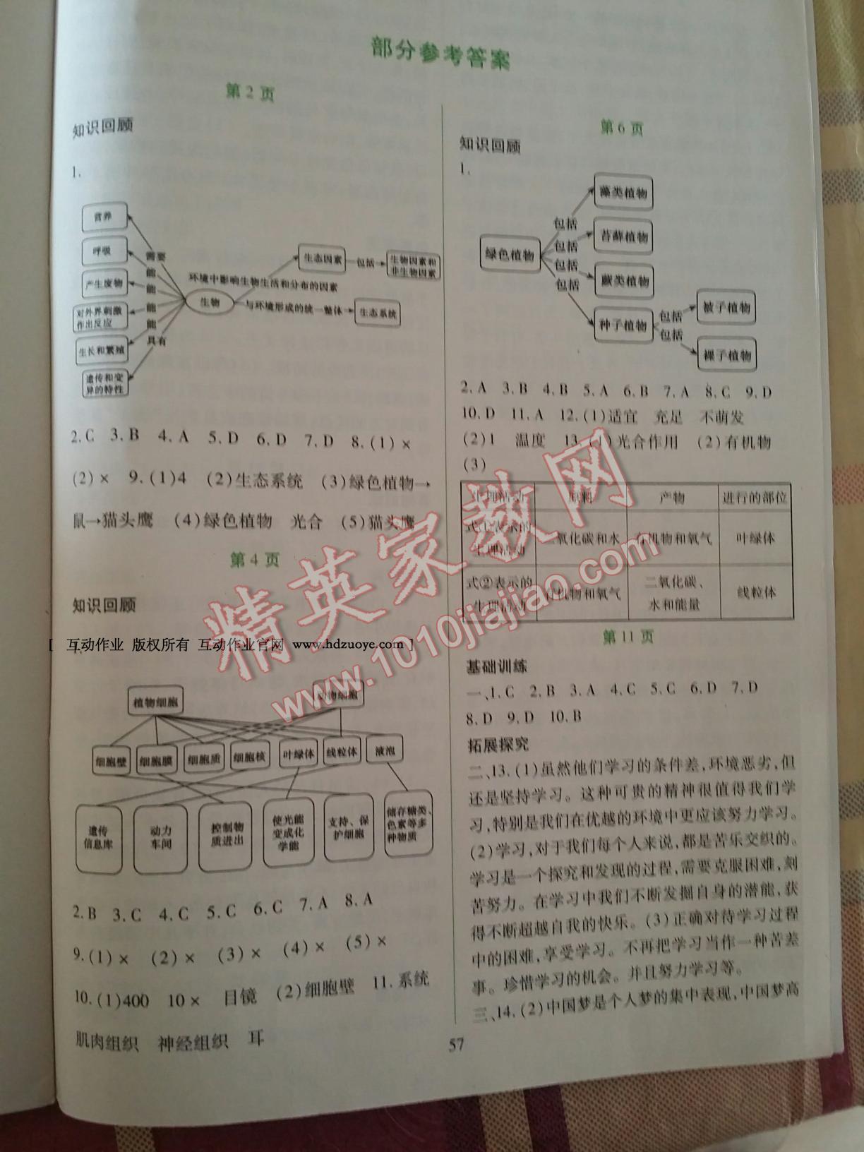 2017年假日綜合七年級合訂本吉林出版集團有限責任公司 第5頁