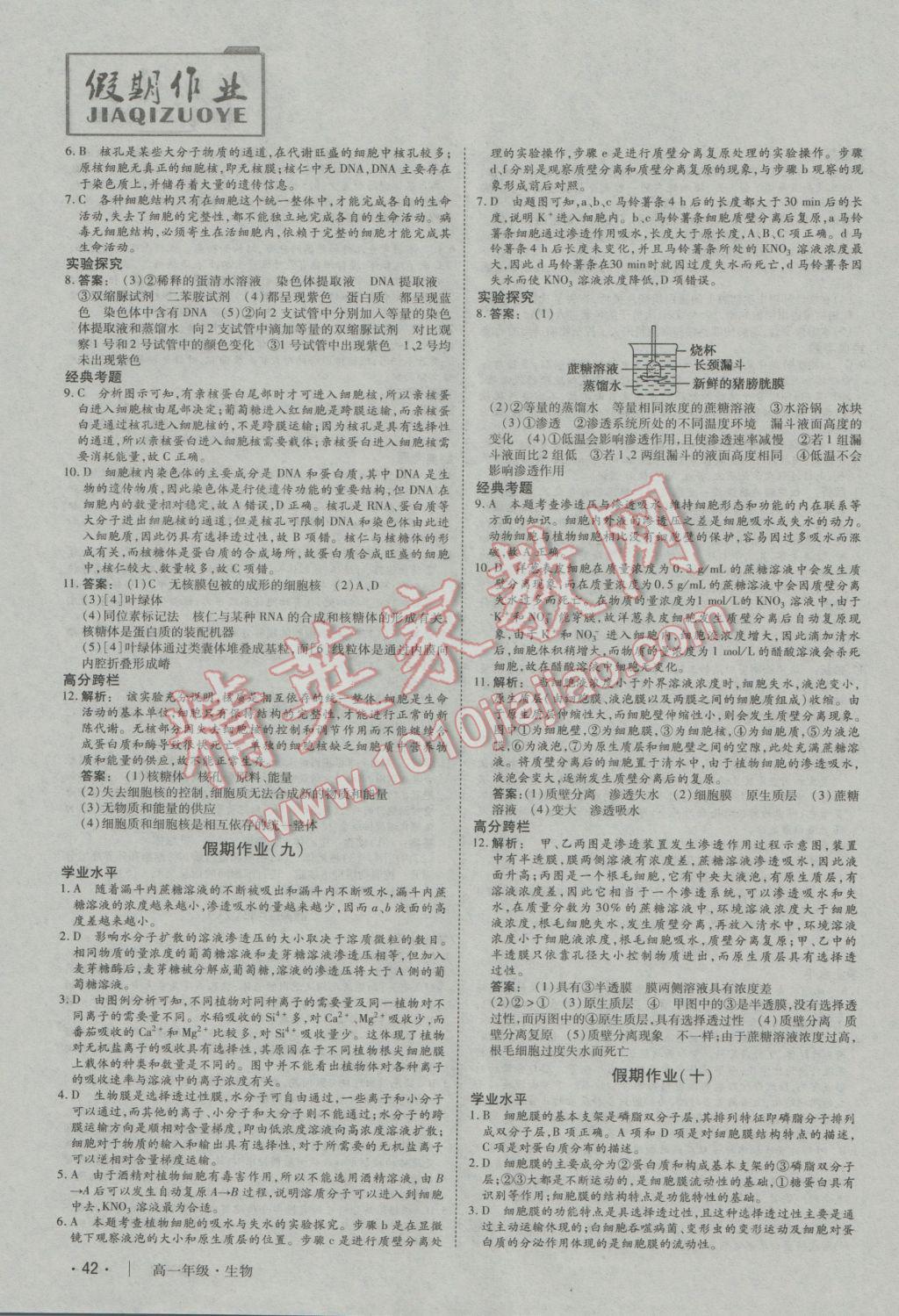 2017年金版新学案冬之卷假期作业高一生物 参考答案第5页