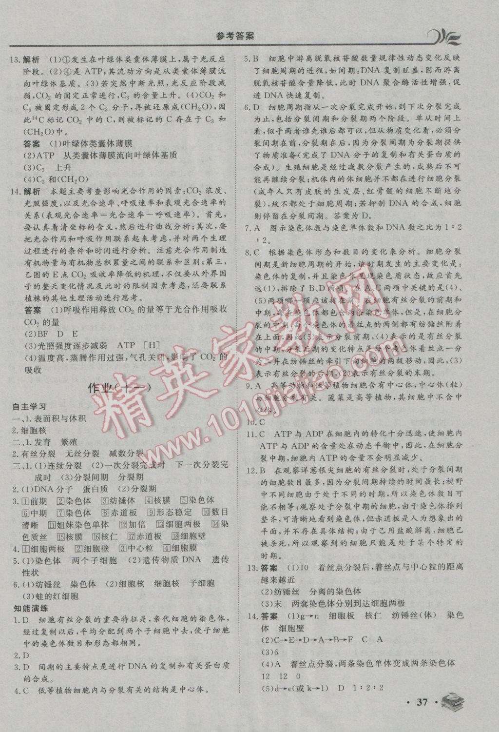 2017年金榜題名系列叢書新課標(biāo)快樂假期高一年級生物 參考答案第9頁