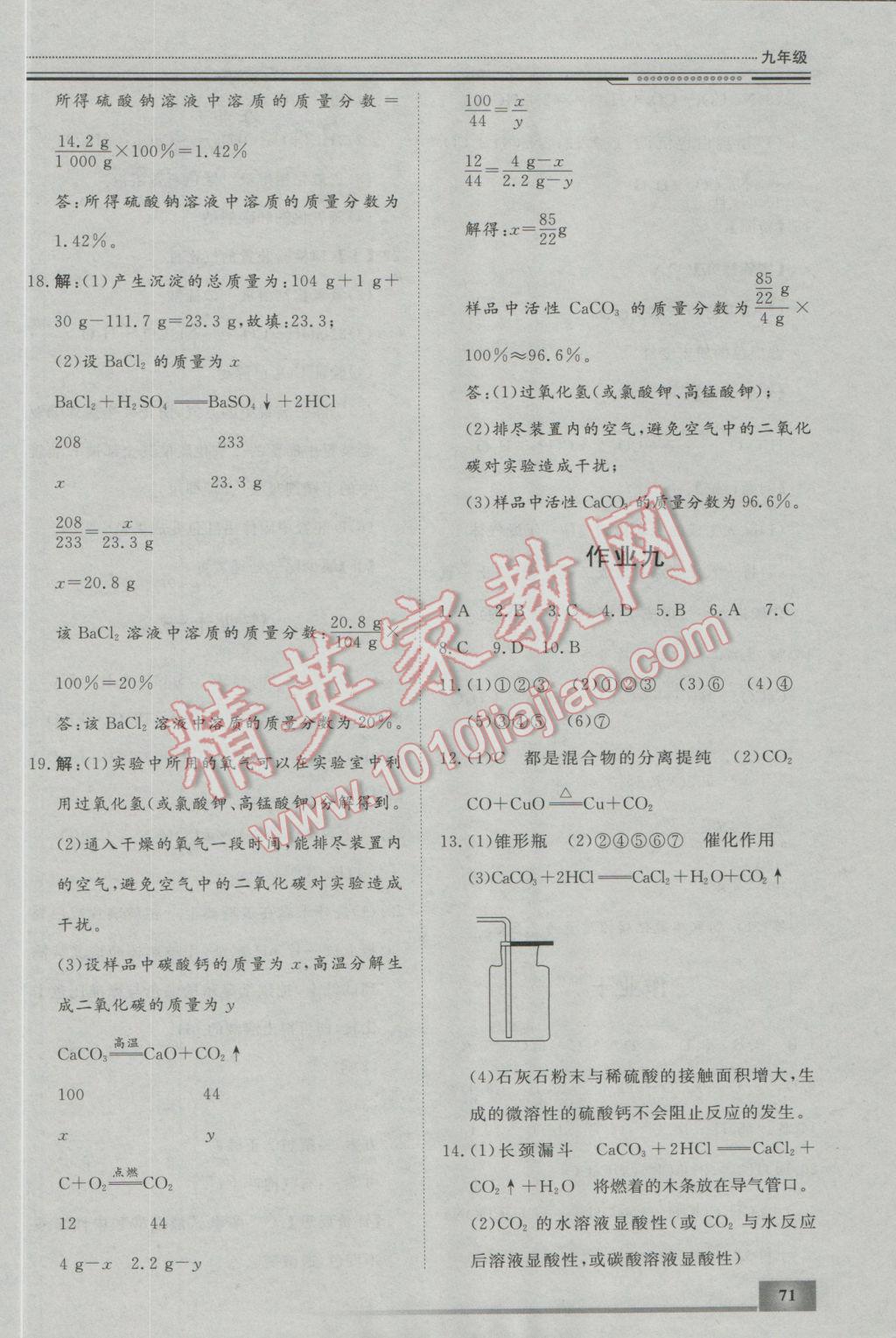 2017年文轩图书假期生活指导寒九年级化学 参考答案第5页