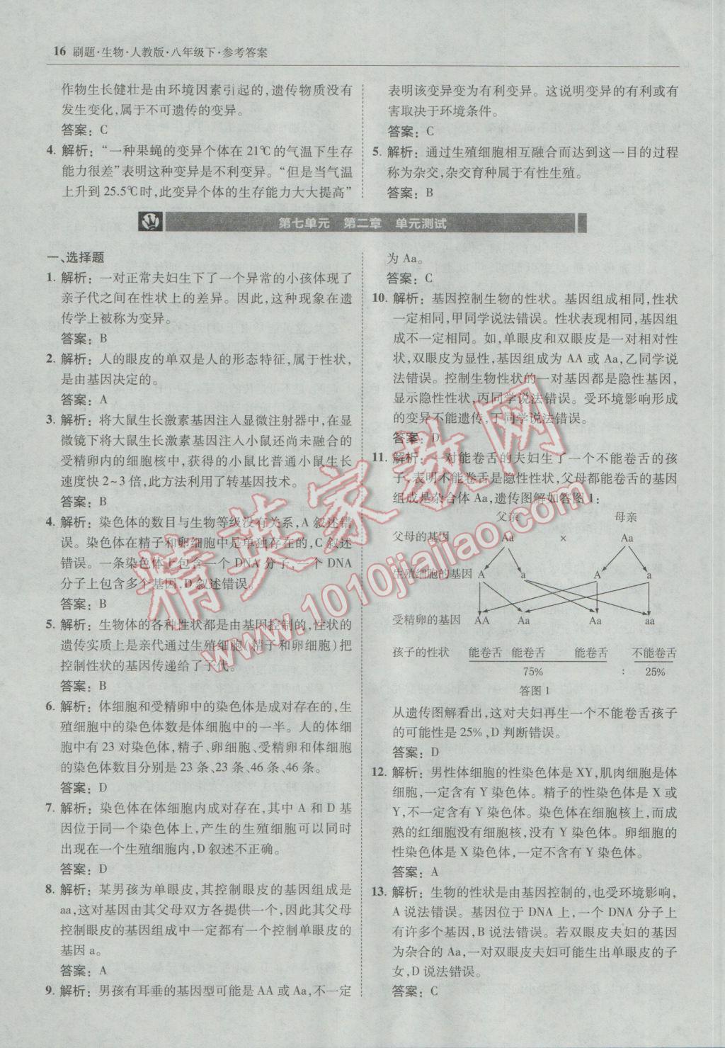 2017年北大綠卡刷題八年級生物下冊人教版 參考答案第15頁