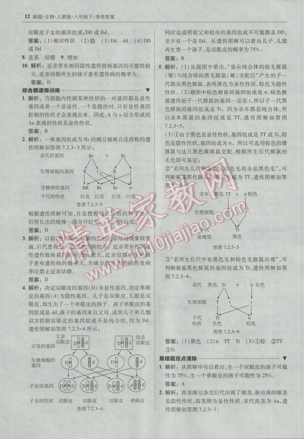 2017年北大綠卡刷題八年級生物下冊人教版 參考答案第11頁