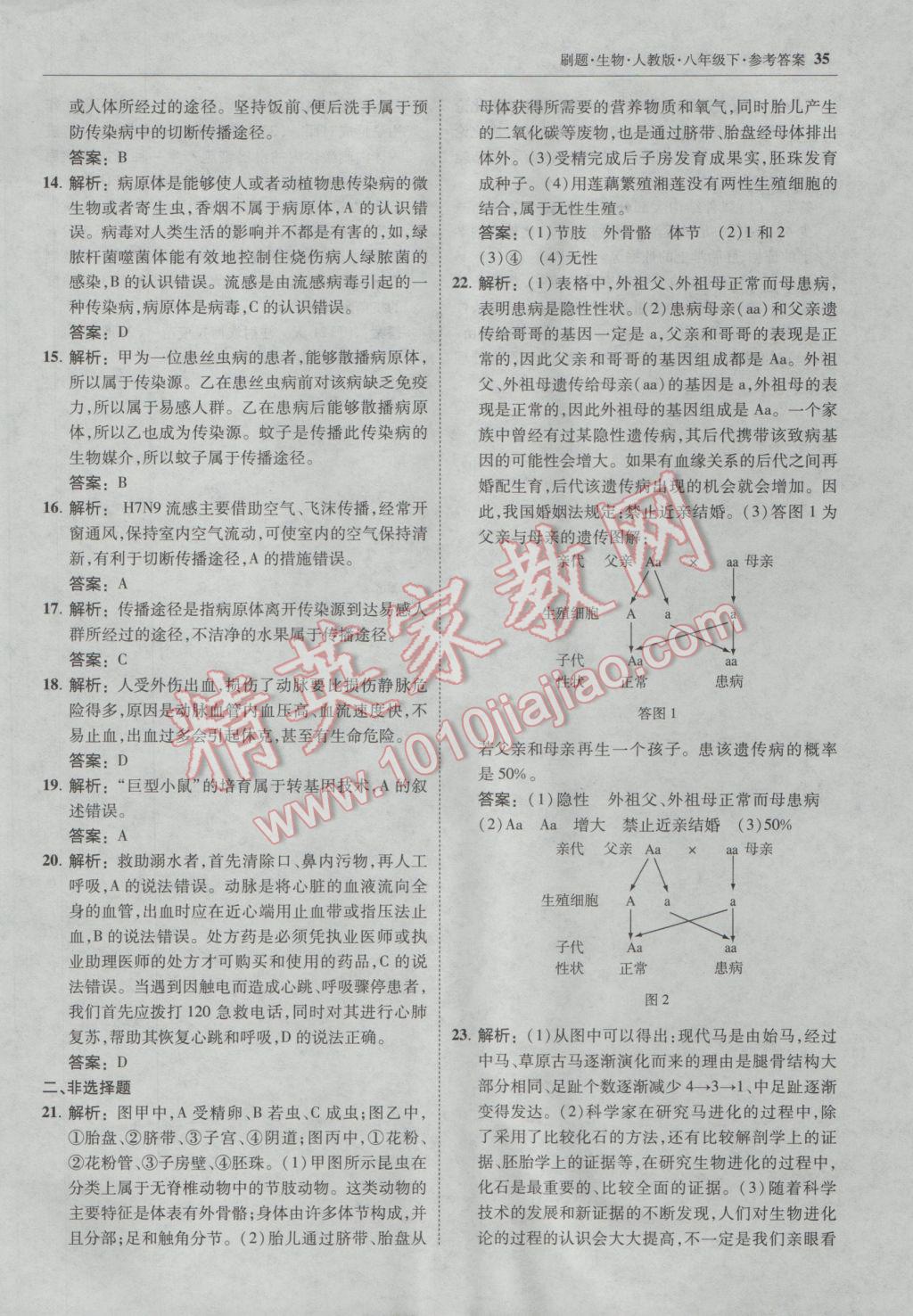 2017年北大綠卡刷題八年級(jí)生物下冊(cè)人教版 參考答案第34頁(yè)