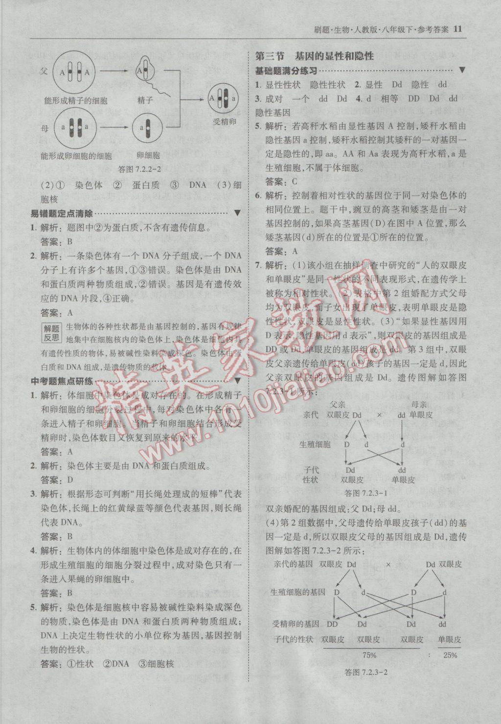 2017年北大綠卡刷題八年級(jí)生物下冊(cè)人教版 參考答案第10頁