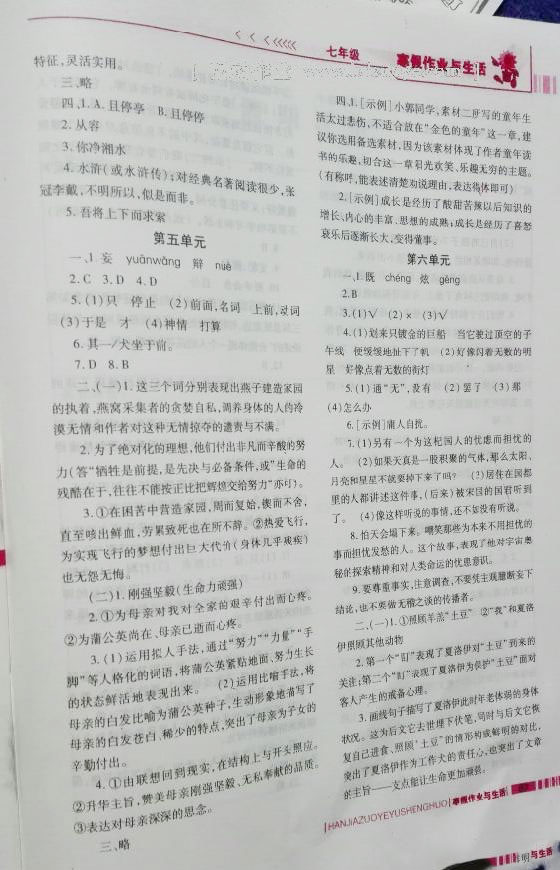 2017年寒假作業(yè)與生活七年級(jí)語(yǔ)文人教版陜西師范大學(xué)出版總社 第64頁(yè)