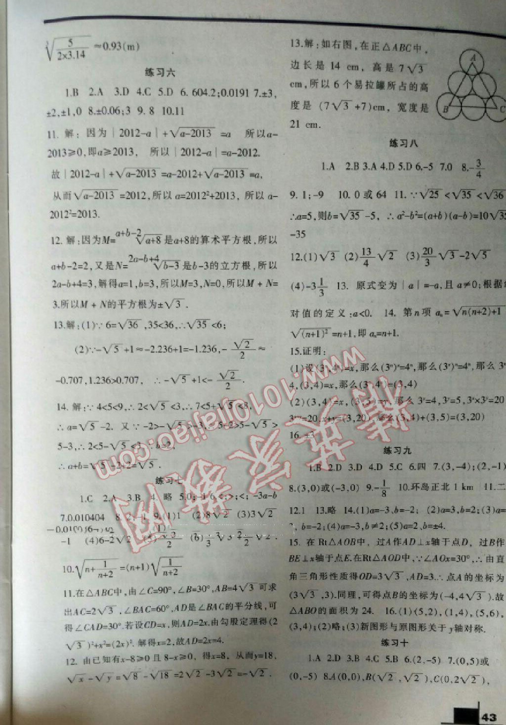 2017年寒假作业八年级数学北师大版兰州大学出版社 第19页