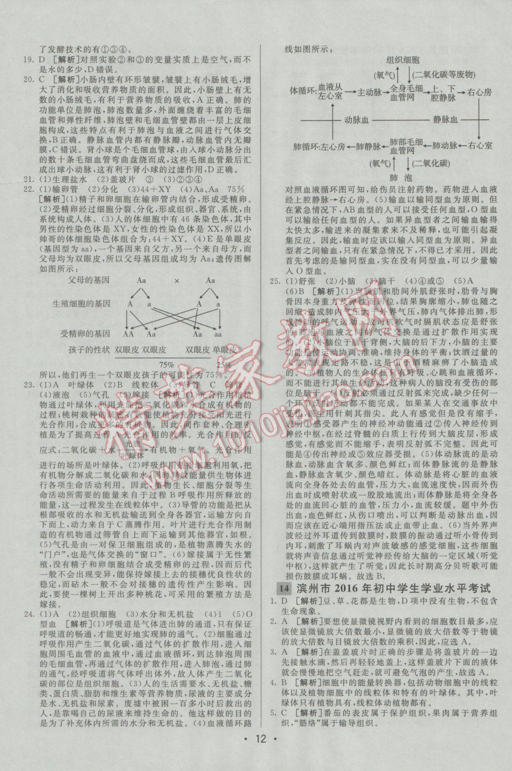 2017年中考妙策山东省17地市2016中考真题超详解33套汇编生物 参考答案第12页