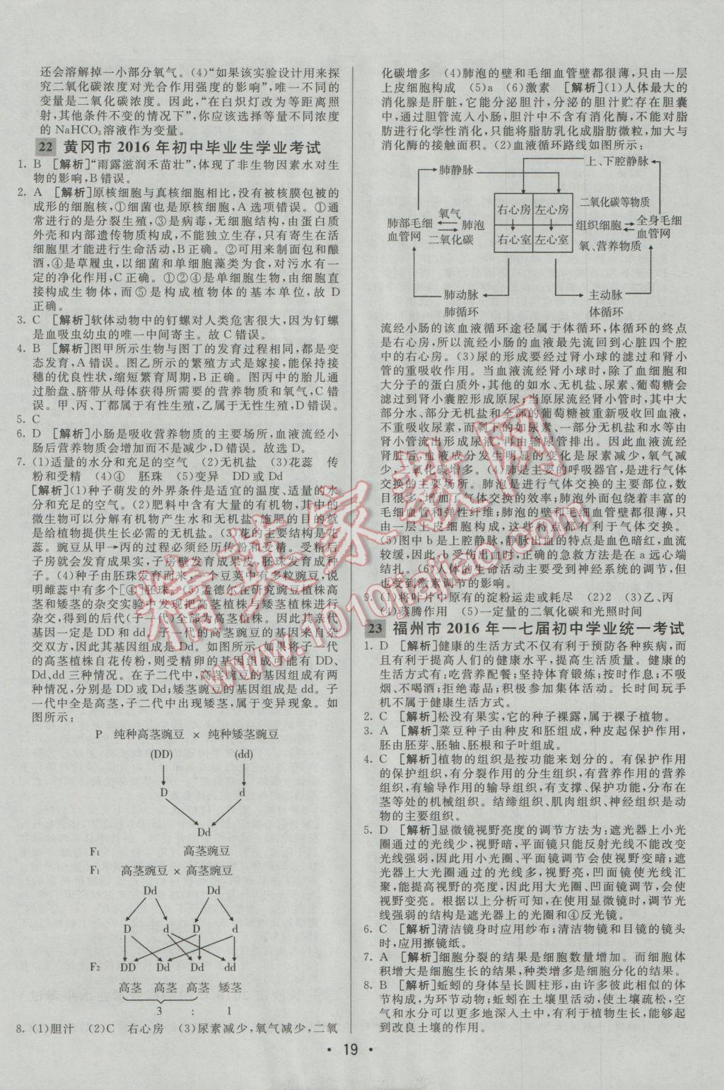 2017年中考妙策山东省17地市2016中考真题超详解33套汇编生物 参考答案第19页