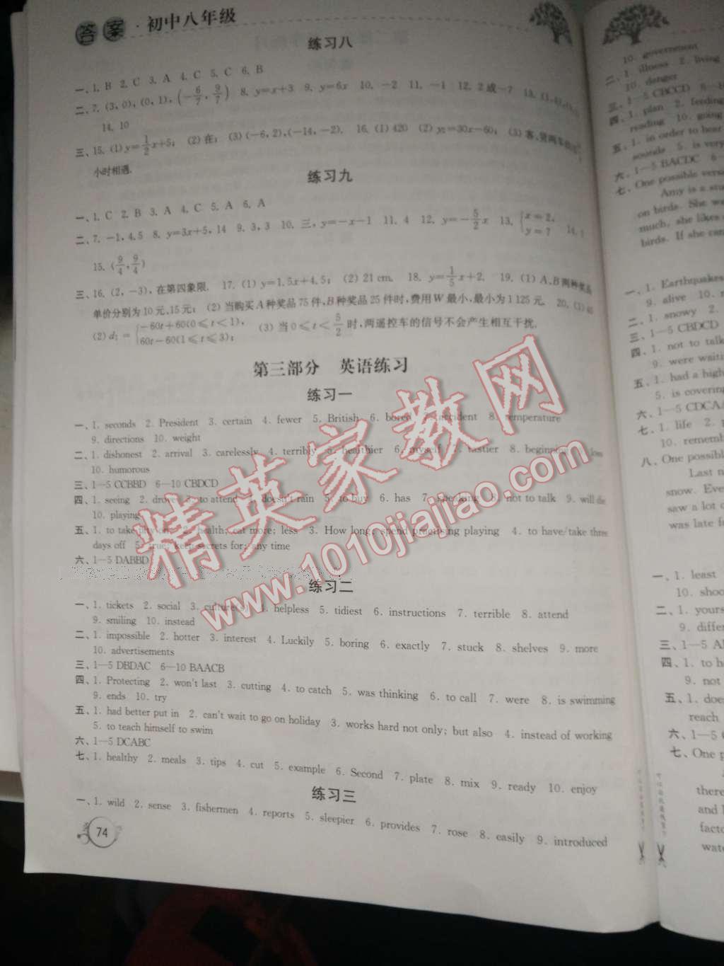 2017年寒假學習生活八年級合訂本譯林出版社 參考答案第4頁