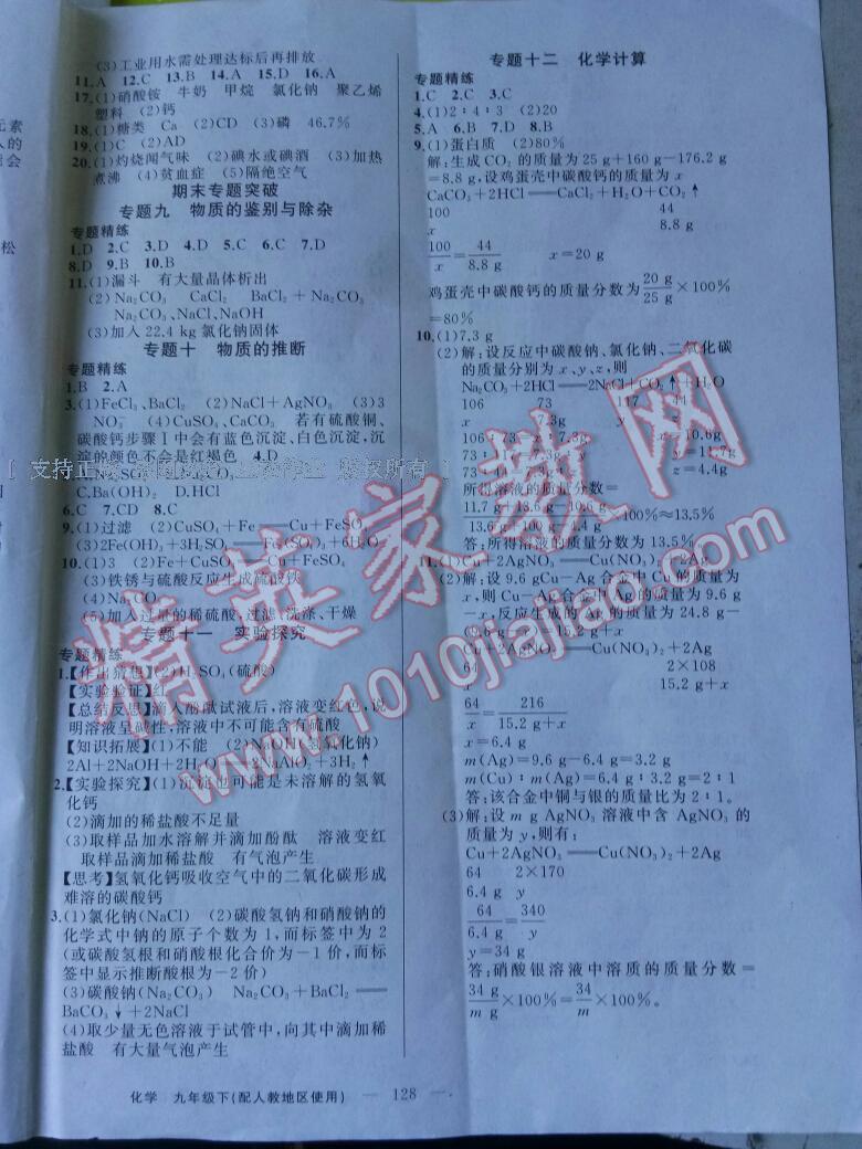 2017年黃岡100分闖關(guān)九年級化學(xué)下冊人教版 第22頁