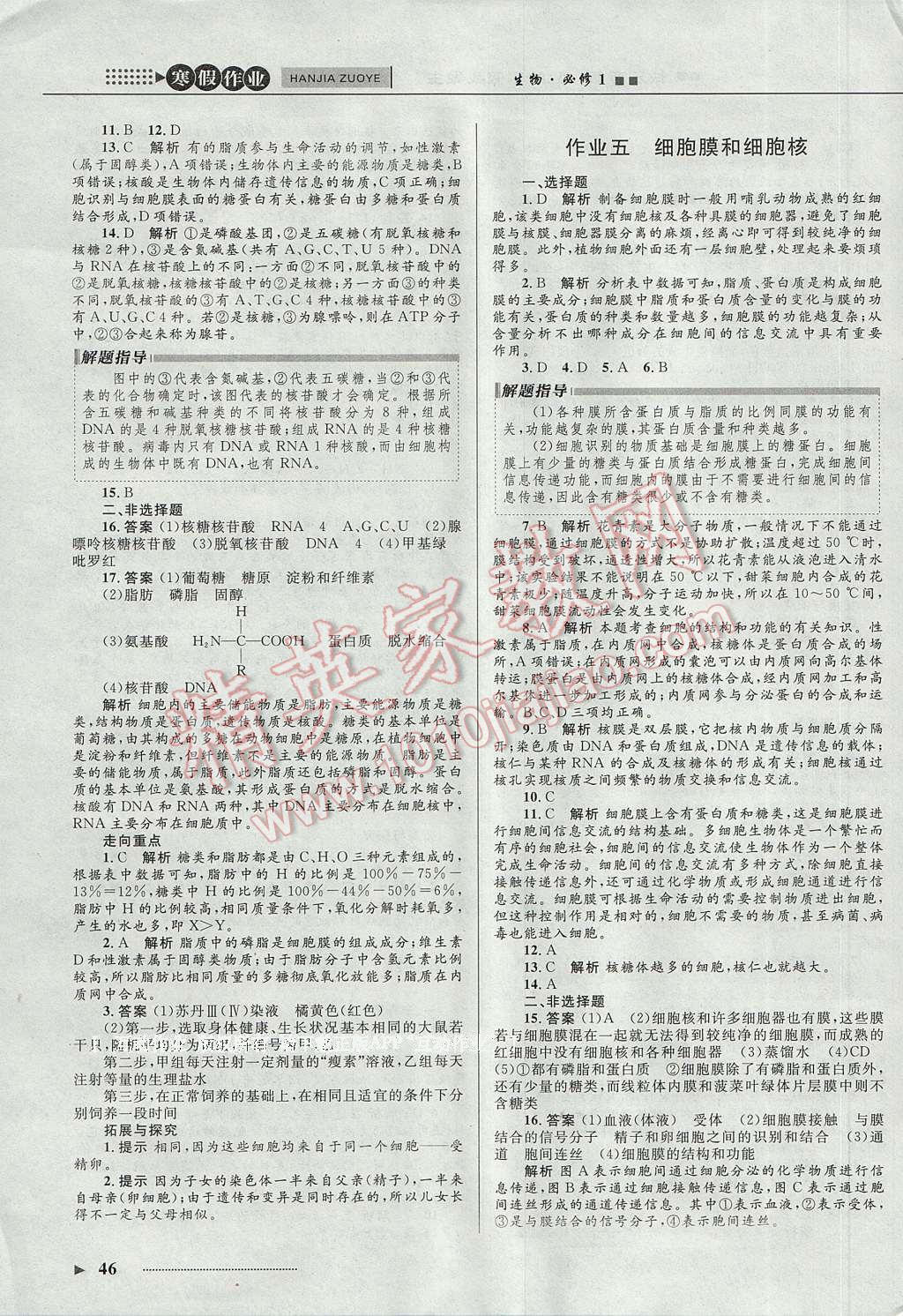 2017年志鴻優(yōu)化系列叢書寒假作業(yè)高一生物必修1 參考答案第12頁