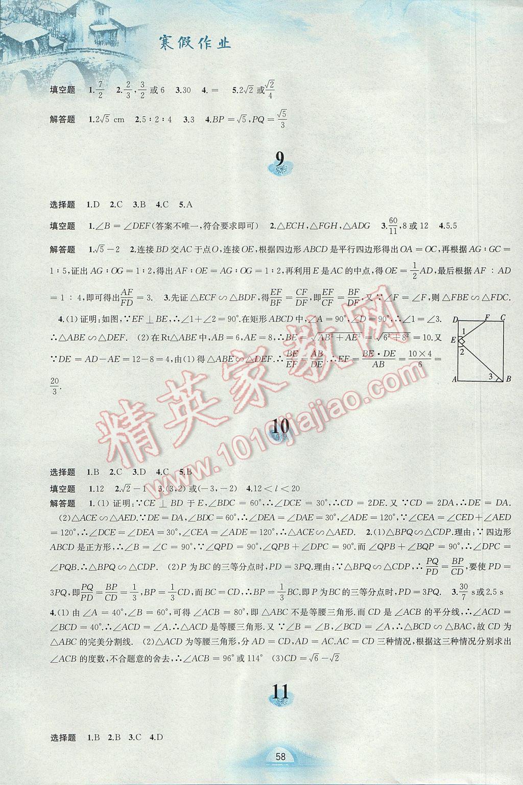 2017年寒假作业九年级数学沪科版安徽教育出版社 参考答案第3页